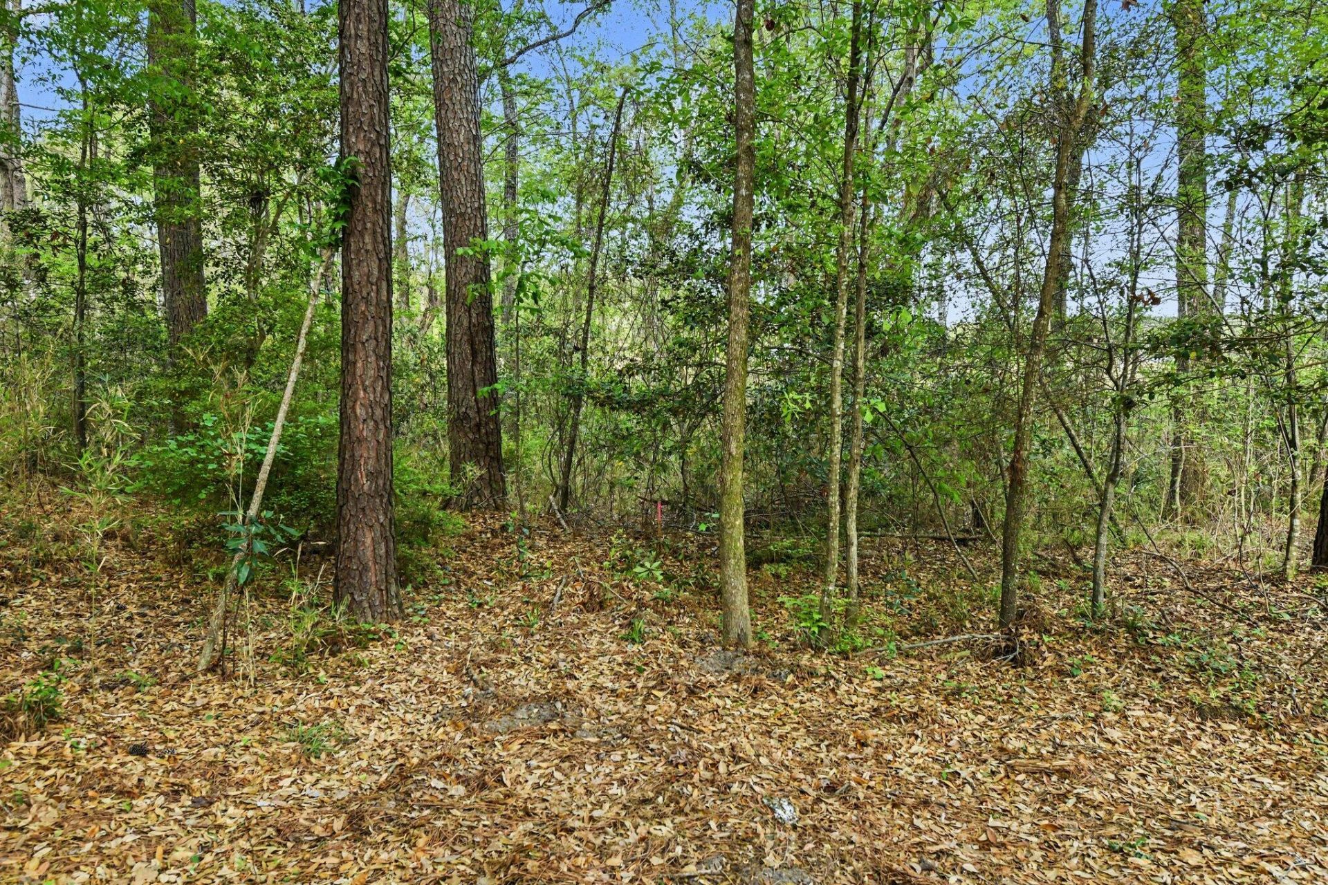 132 Oak Estates Way Photo 26