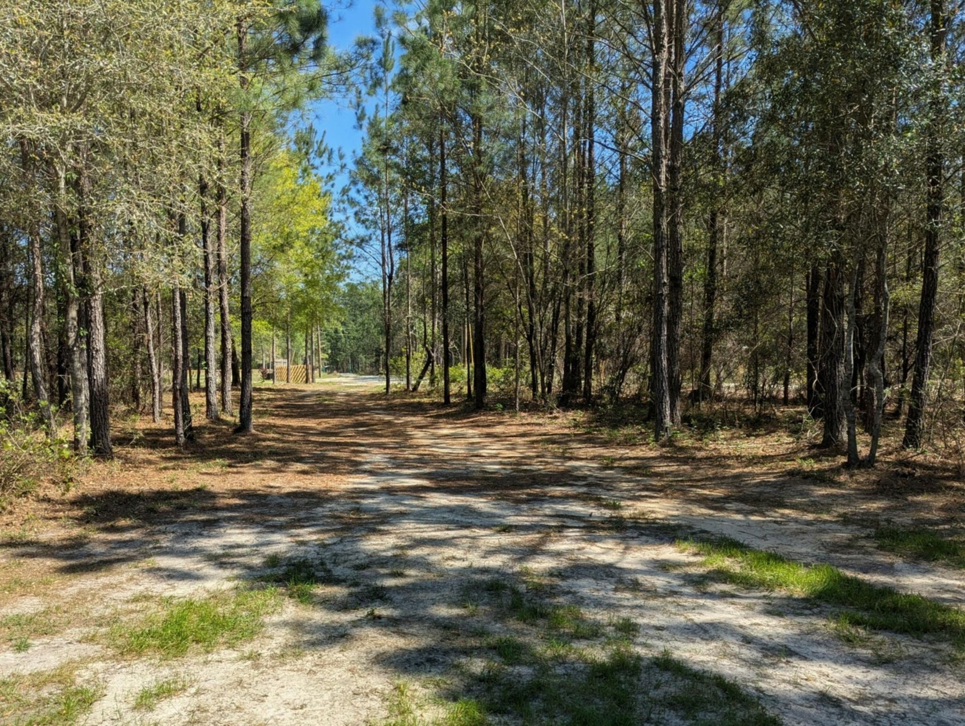 132 Oak Estates Way Photo 4