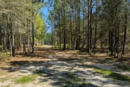 132 Oak Estates Way photo 4