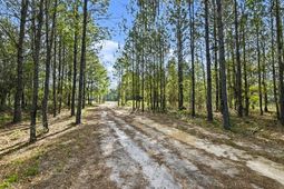 132 Oak Estates Way photo 4