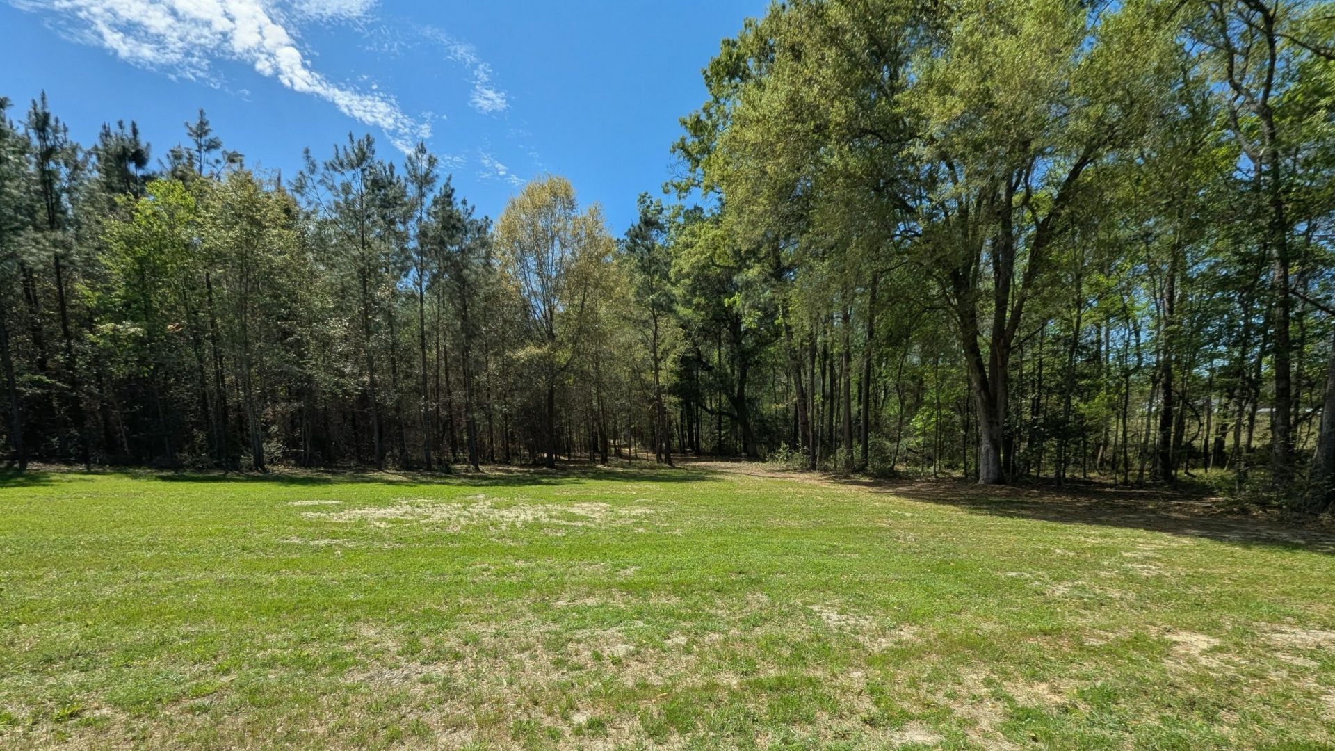 132 Oak Estates Way Photo 7