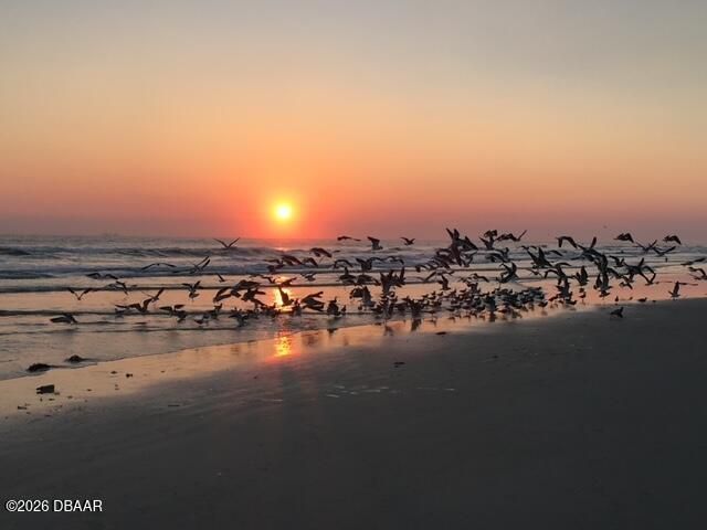 4873 S Atlantic Avenue, Ponce Inlet, FL 32127 Photo