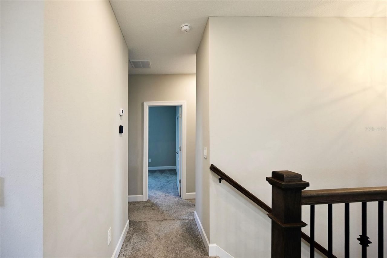 3806 Savanna Palms Court, Lakewood Ranch, FL 34211 Photo