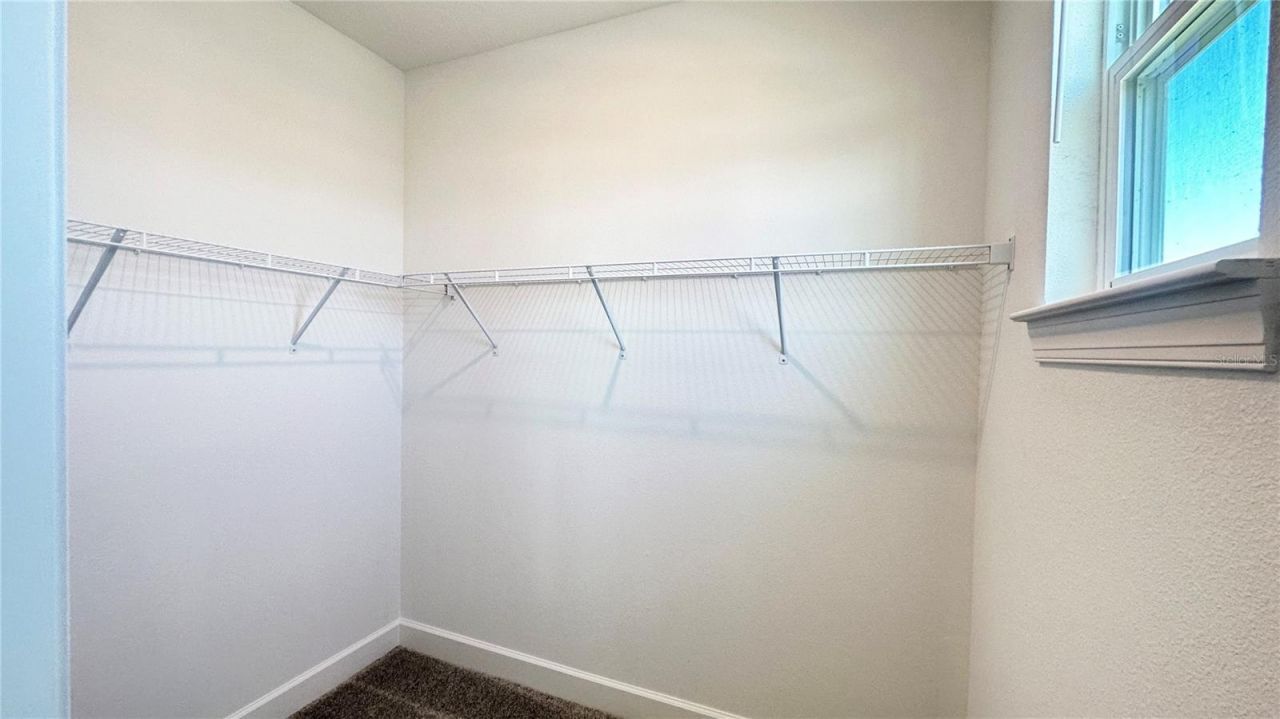 3806 Savanna Palms Court, Lakewood Ranch, FL 34211 Photo