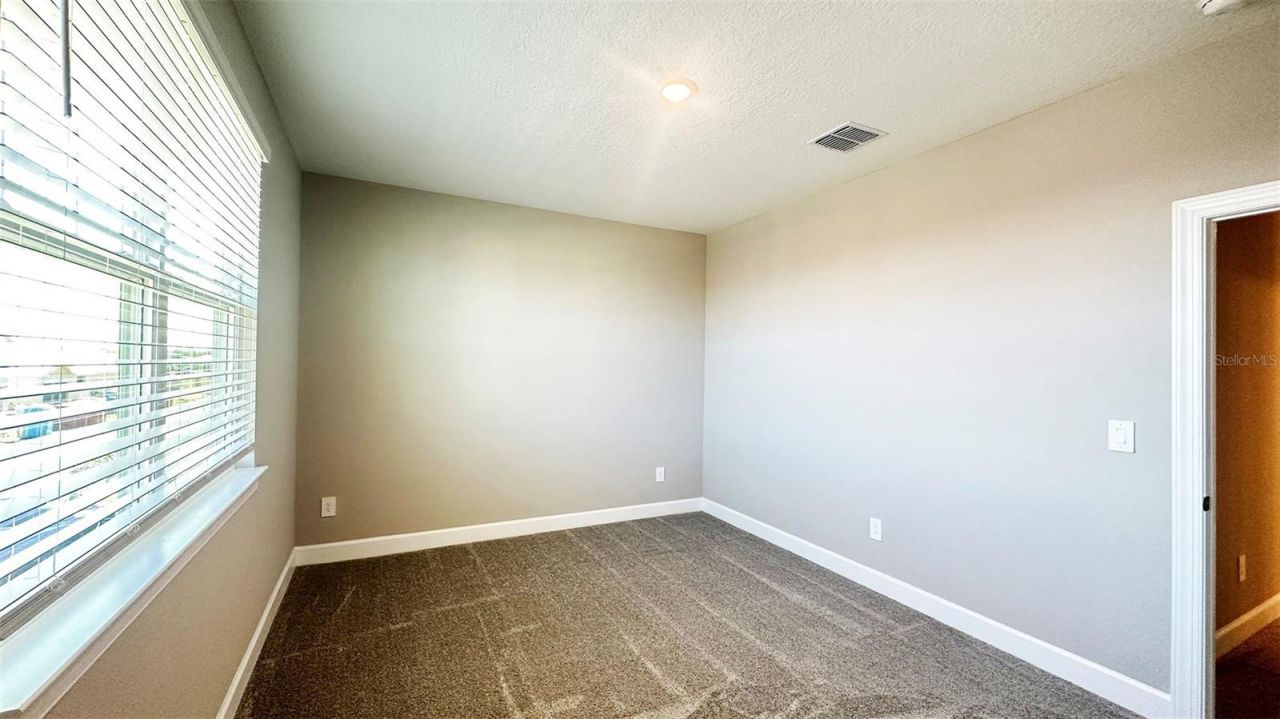 3806 Savanna Palms Court, Lakewood Ranch, FL 34211 Photo