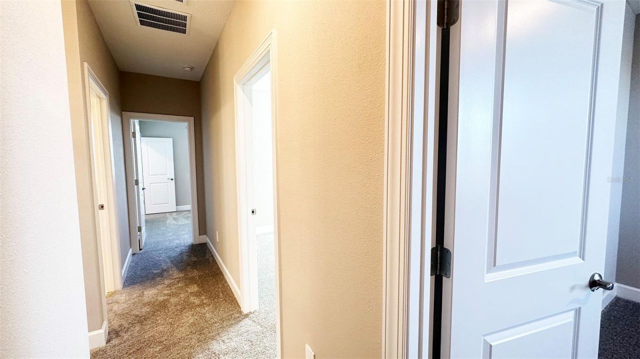 3806 Savanna Palms Court, Lakewood Ranch, FL 34211 Photo