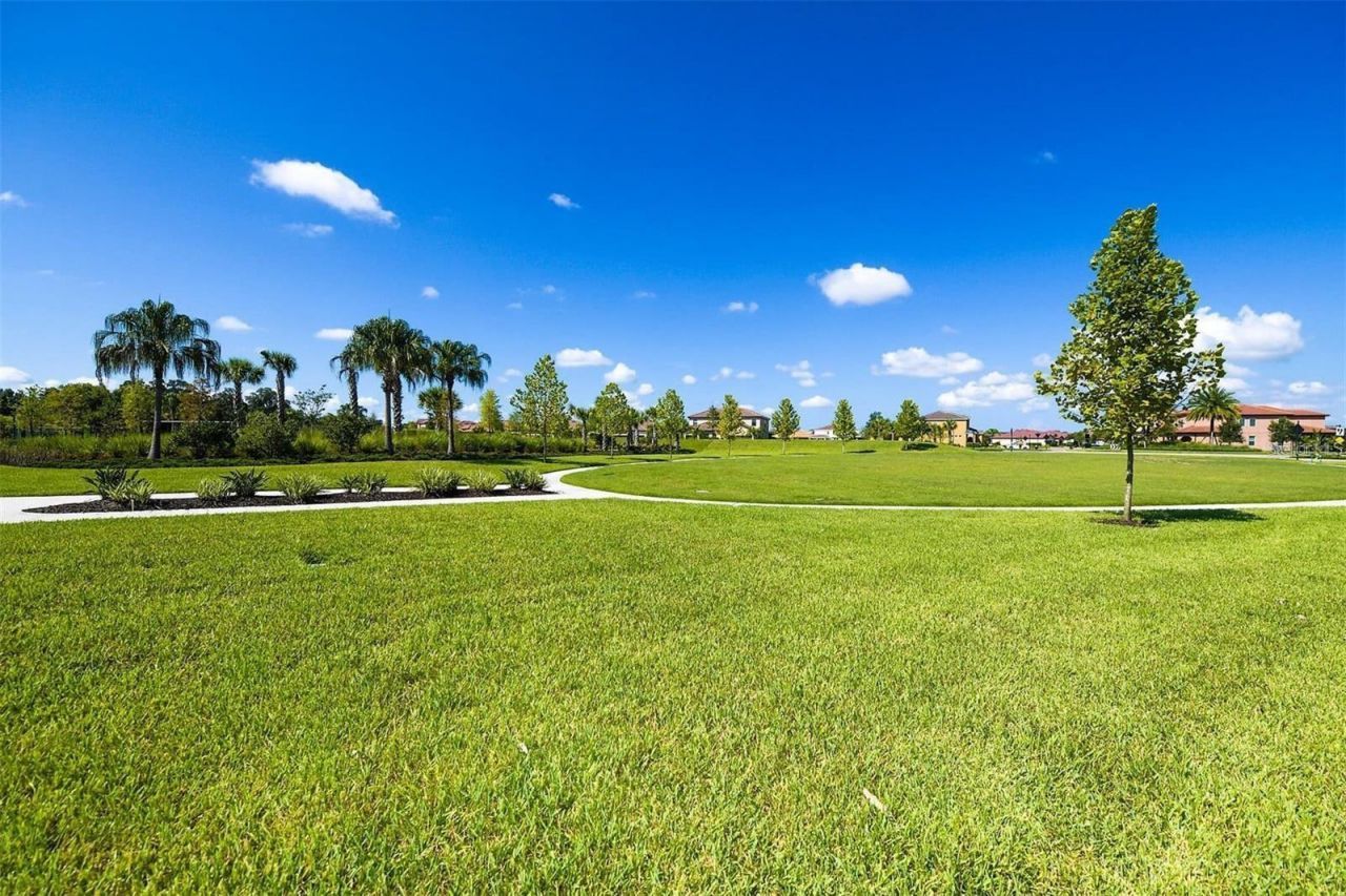 3806 Savanna Palms Court, Lakewood Ranch, FL 34211 Photo