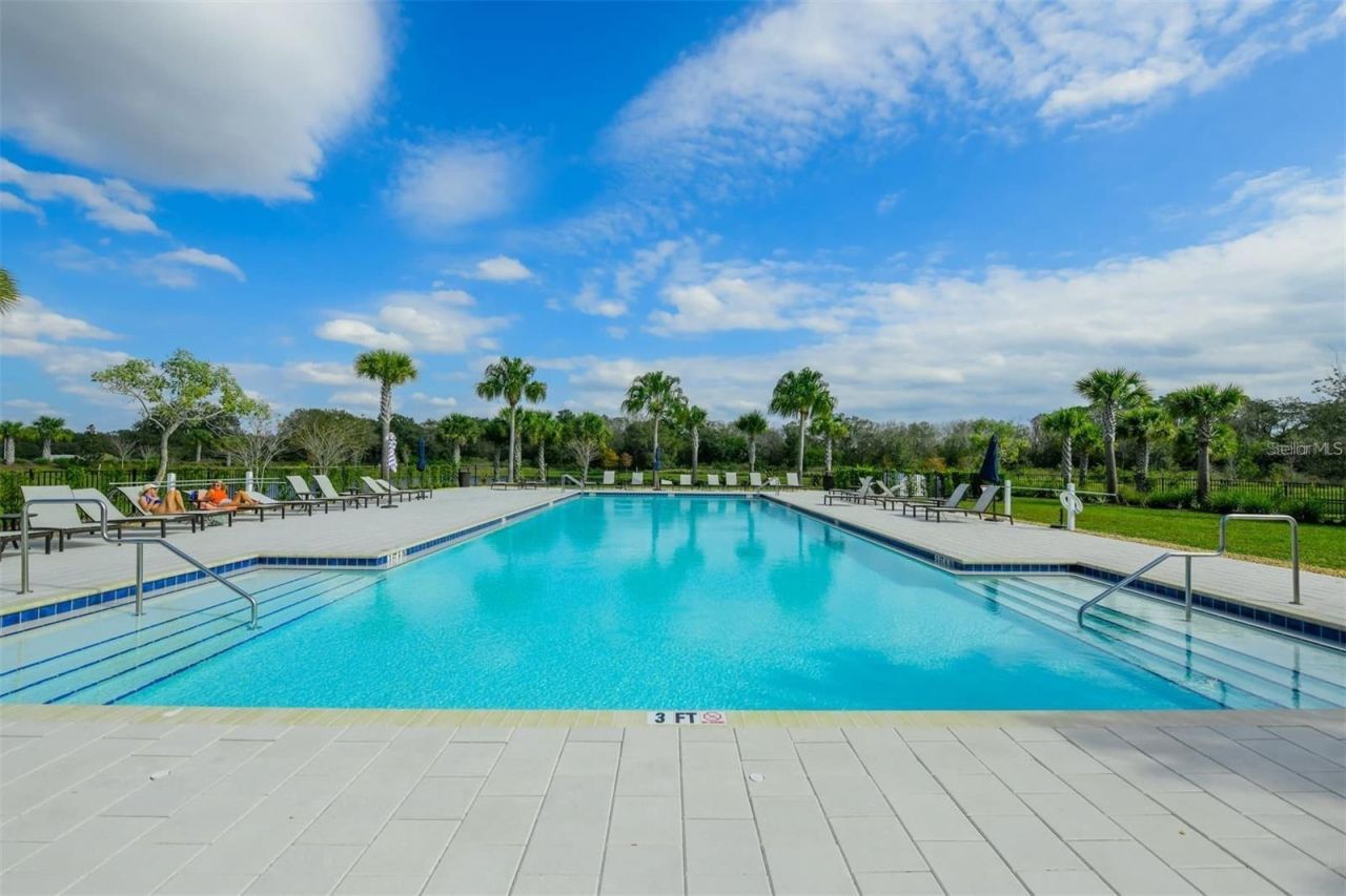 3806 Savanna Palms Court, Lakewood Ranch, FL 34211 Photo