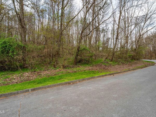 Tbd Randall Laura Lane, Bluff City, TN 37618