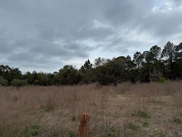 9564 N Not Named, Crystal River, FL 34430