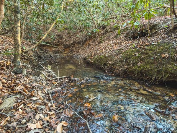 TBD All Healing Springs Road , Taylorsville, NC 28681