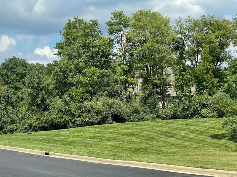 5164 Riverway Run, Powell, OH 43065 Photo 17