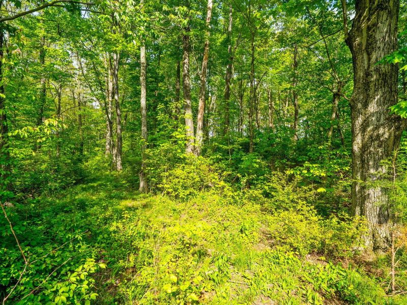 5164 Riverway Run, Powell, OH 43065 Photo 19