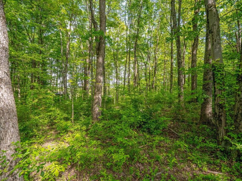 5164 Riverway Run, Powell, OH 43065 Photo 21