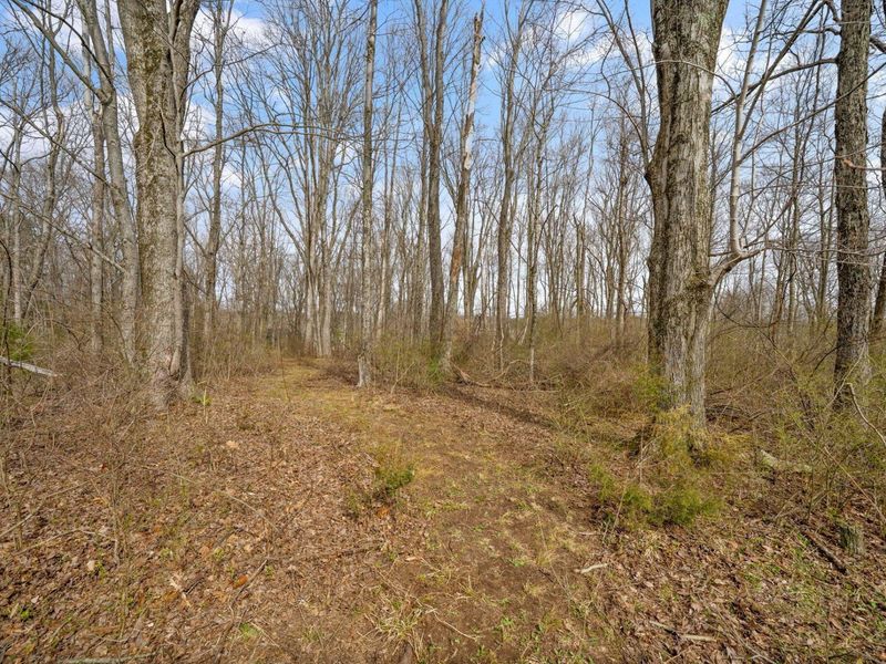 5164 Riverway Run, Powell, OH 43065 Photo 21