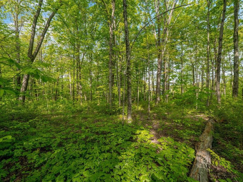 5164 Riverway Run, Powell, OH 43065 Photo 22