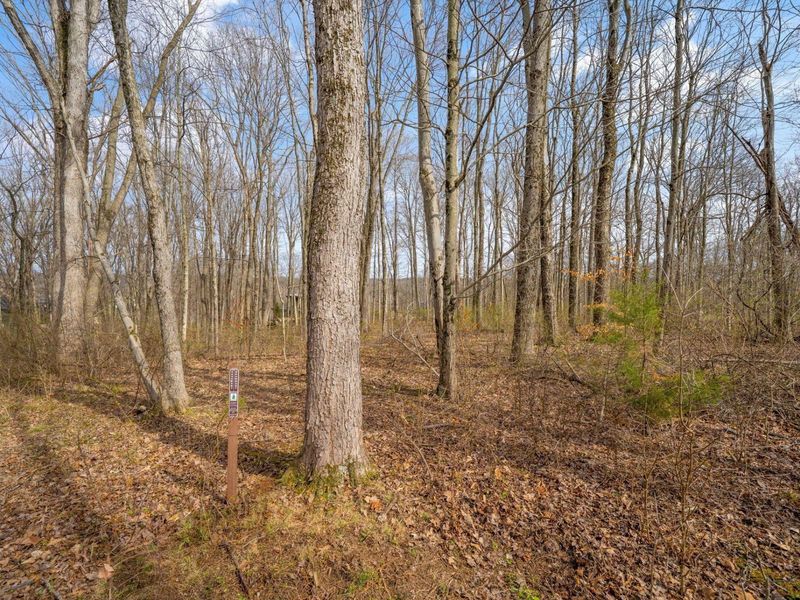 5164 Riverway Run, Powell, OH 43065 Photo 22