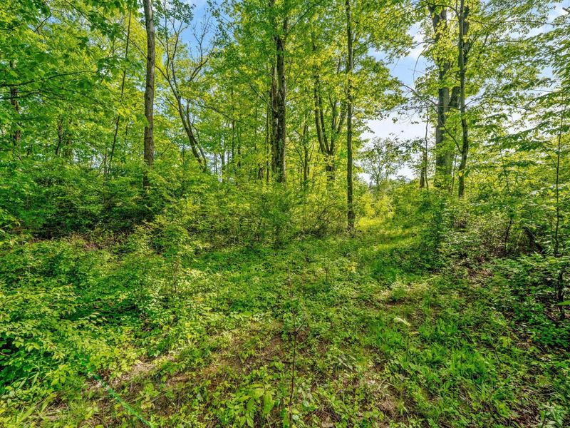 5164 Riverway Run, Powell, OH 43065 Photo 23