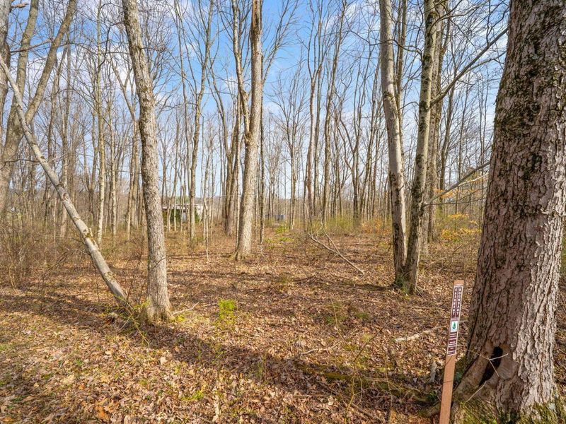 5164 Riverway Run, Powell, OH 43065 Photo 23