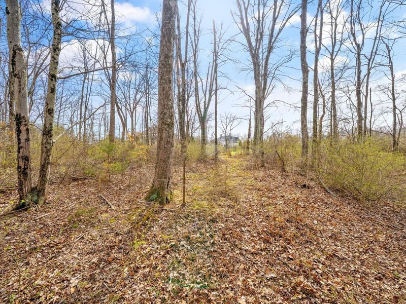 5164 Riverway Run, Powell, OH 43065 Photo 28