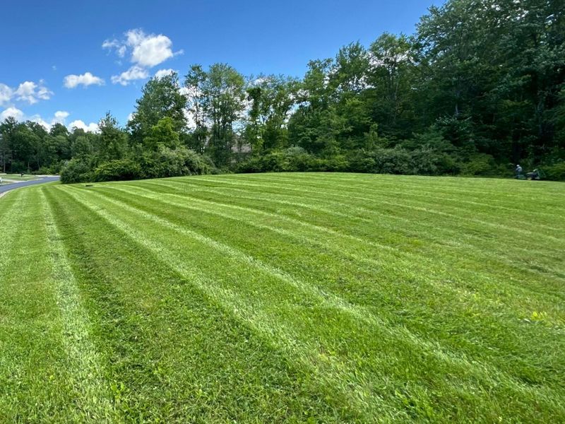 5164 Riverway Run, Powell, OH 43065 Photo 38