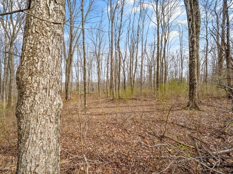 5164 Riverway Run, Powell, OH 43065 Photo 52