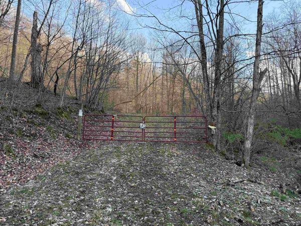 TBD Wash Run Road, Volga, WV 26238