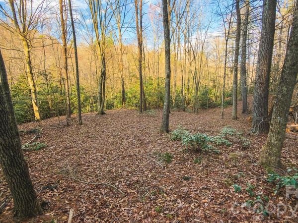 TBD All Healing Springs Road , Taylorsville, NC 28681