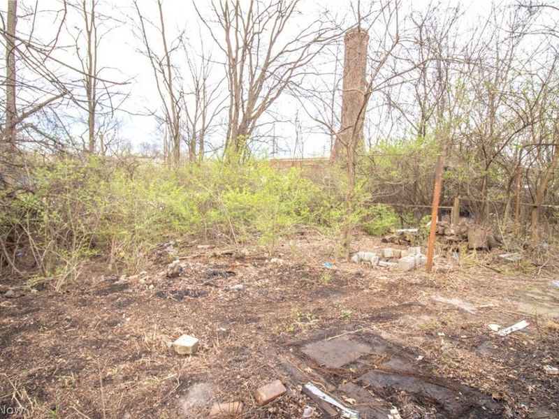 9207 Cannon Avenue, Cleveland, OH 44105 Photo 10