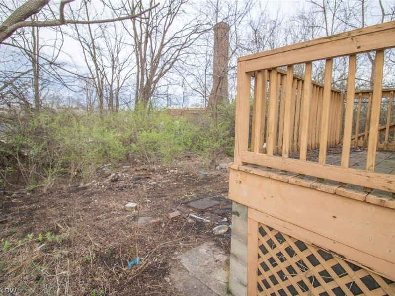 9207 Cannon Avenue, Cleveland, OH 44105 Photo 11