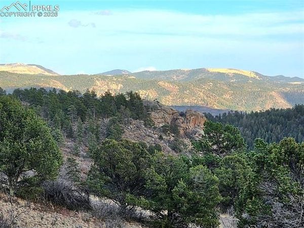 204 Pine Road, Florissant, CO 80816