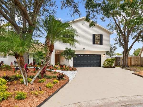 10503 NILE COURT , TAMPA, FL 33615