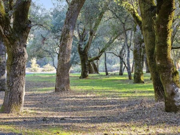 11 Arroyo Sequoia, Carmel Valley, CA 93923