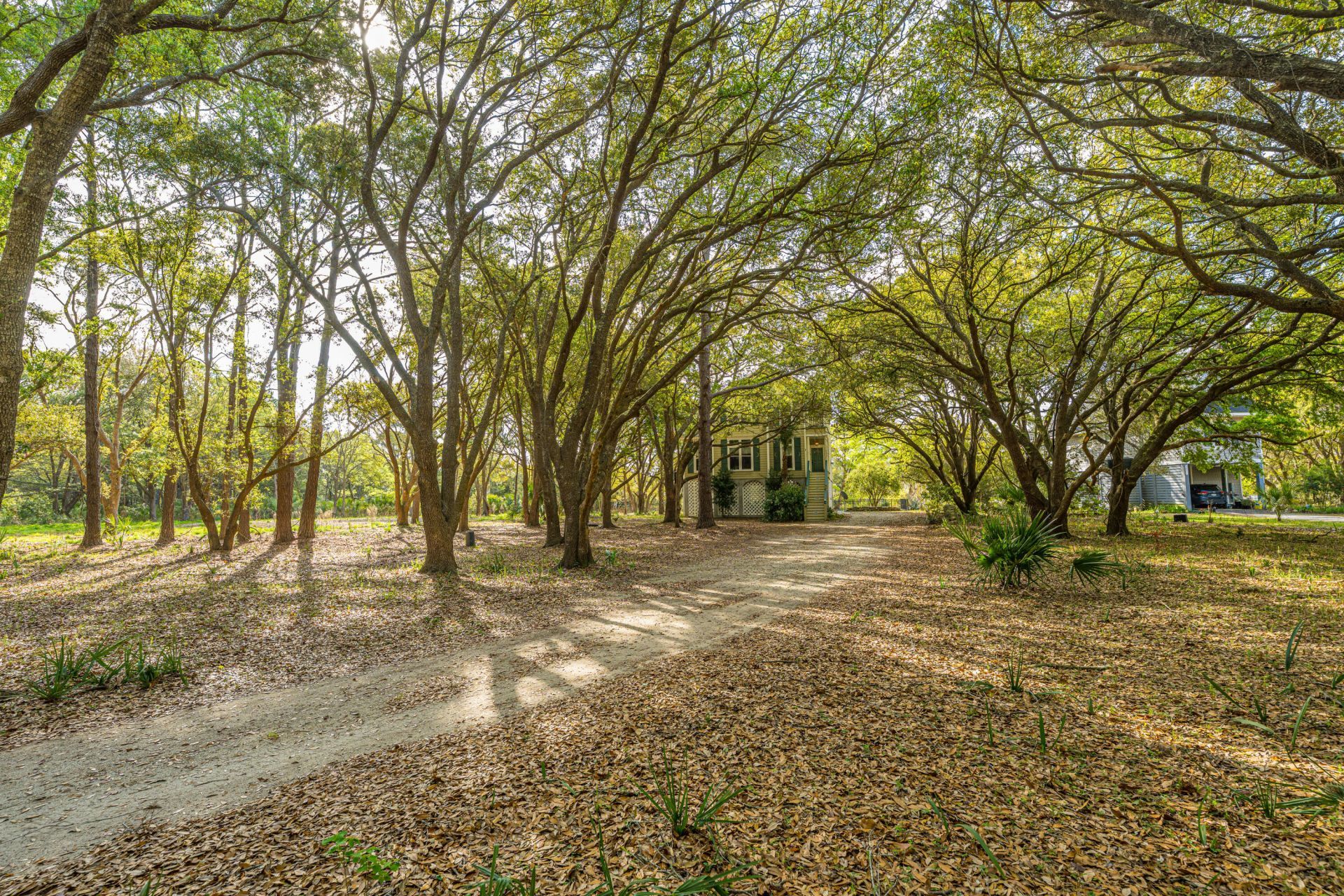 8869 Marsh Aire Lane Photo 22