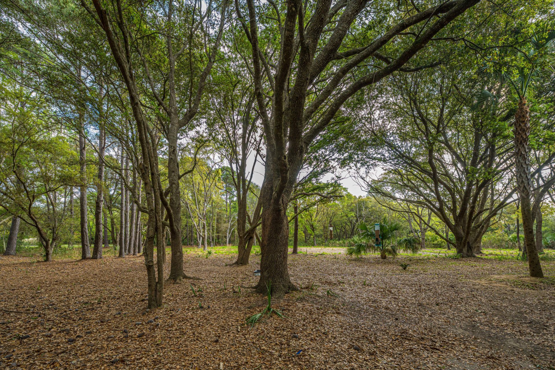 8869 Marsh Aire Lane Photo 38