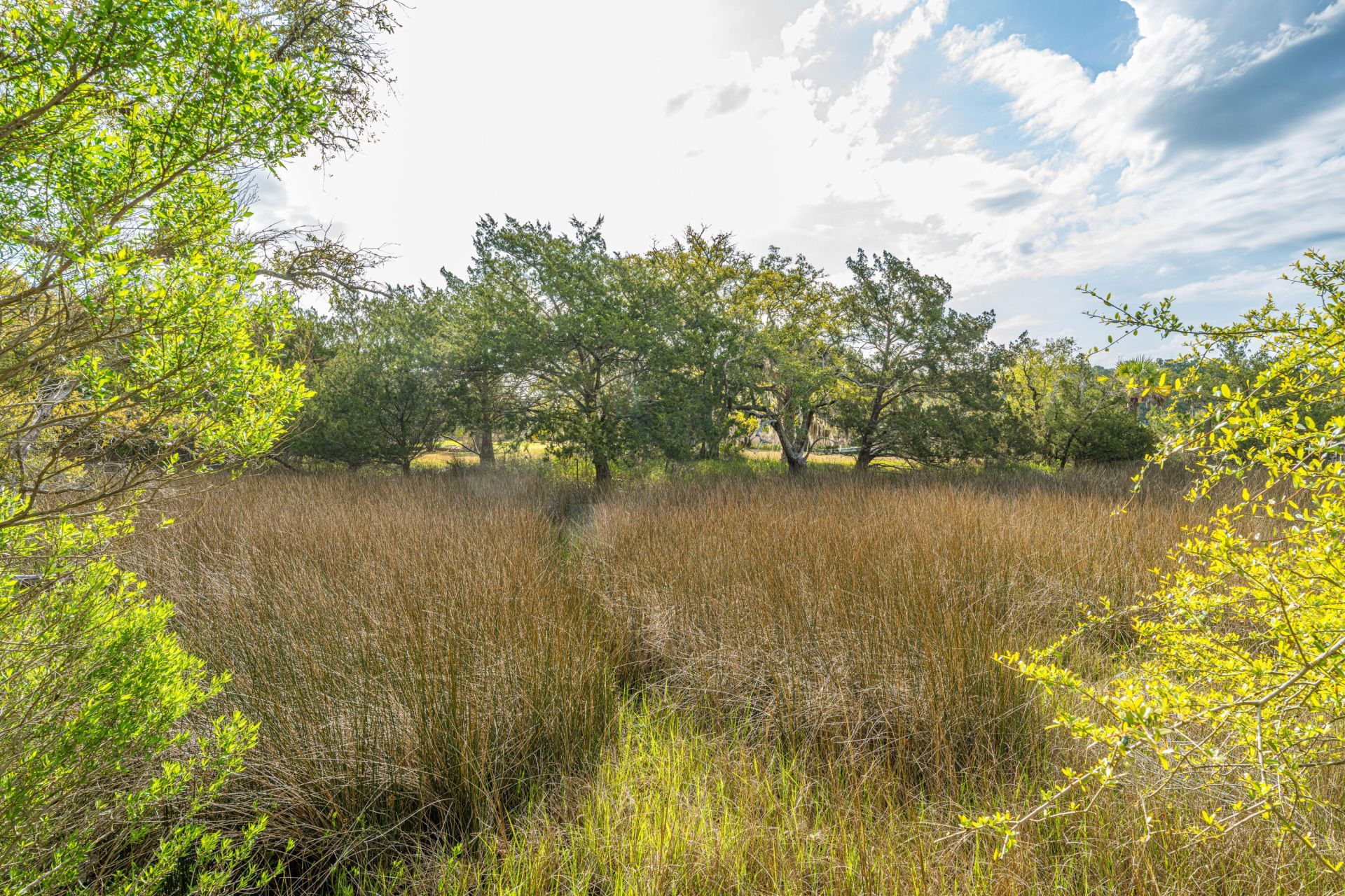 8869 Marsh Aire Lane Photo 39