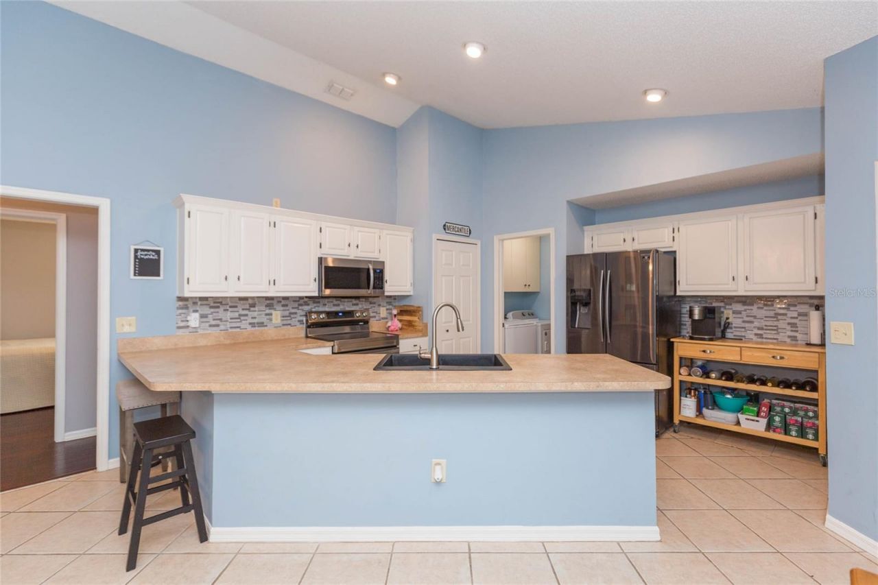 9313 Rockrose Drive, Tampa, FL 33647 Photo