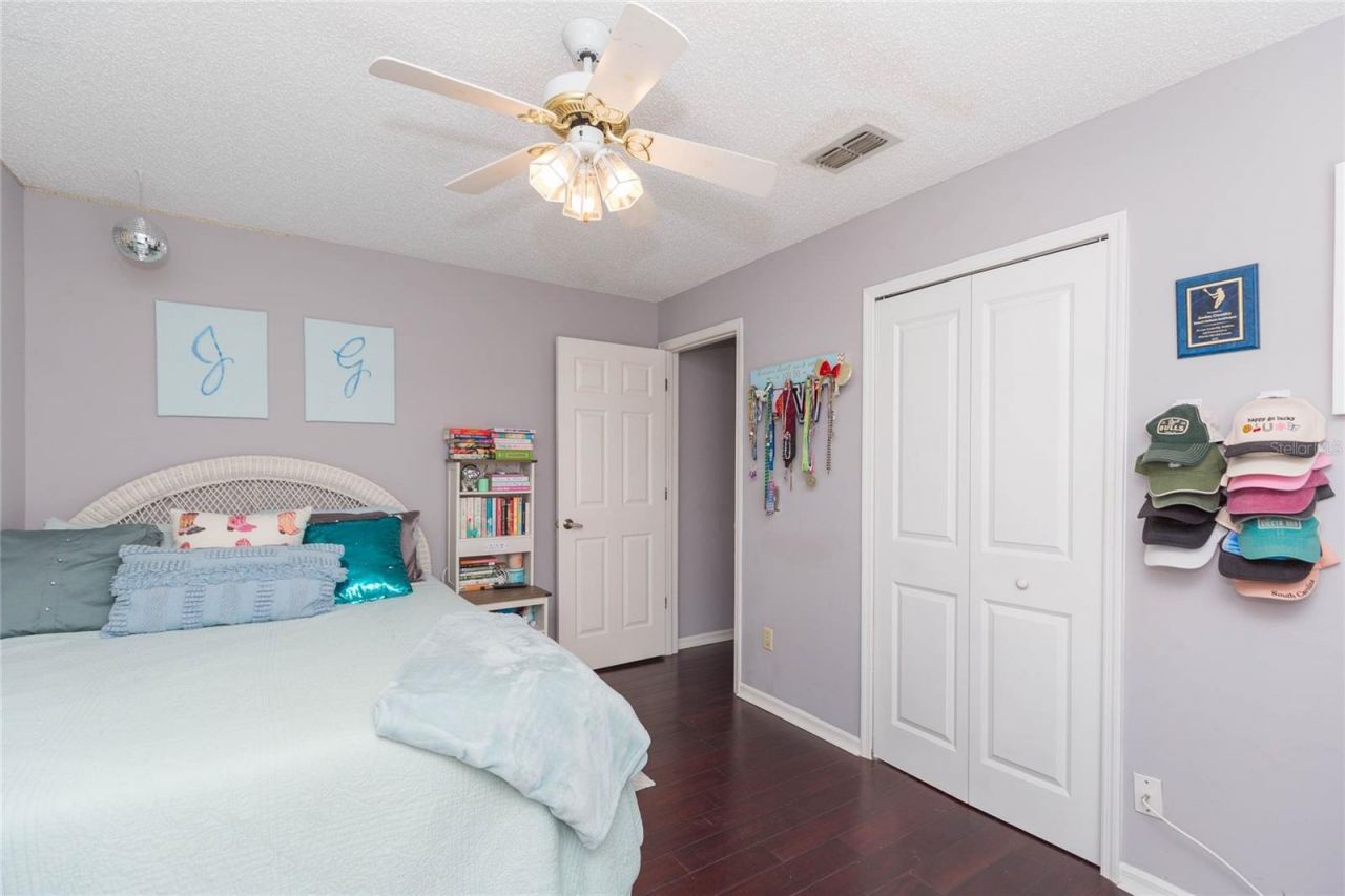 9313 Rockrose Drive, Tampa, FL 33647 Photo