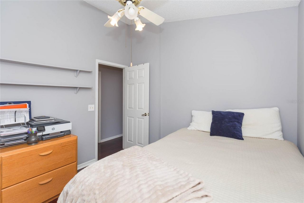 9313 Rockrose Drive, Tampa, FL 33647 Photo