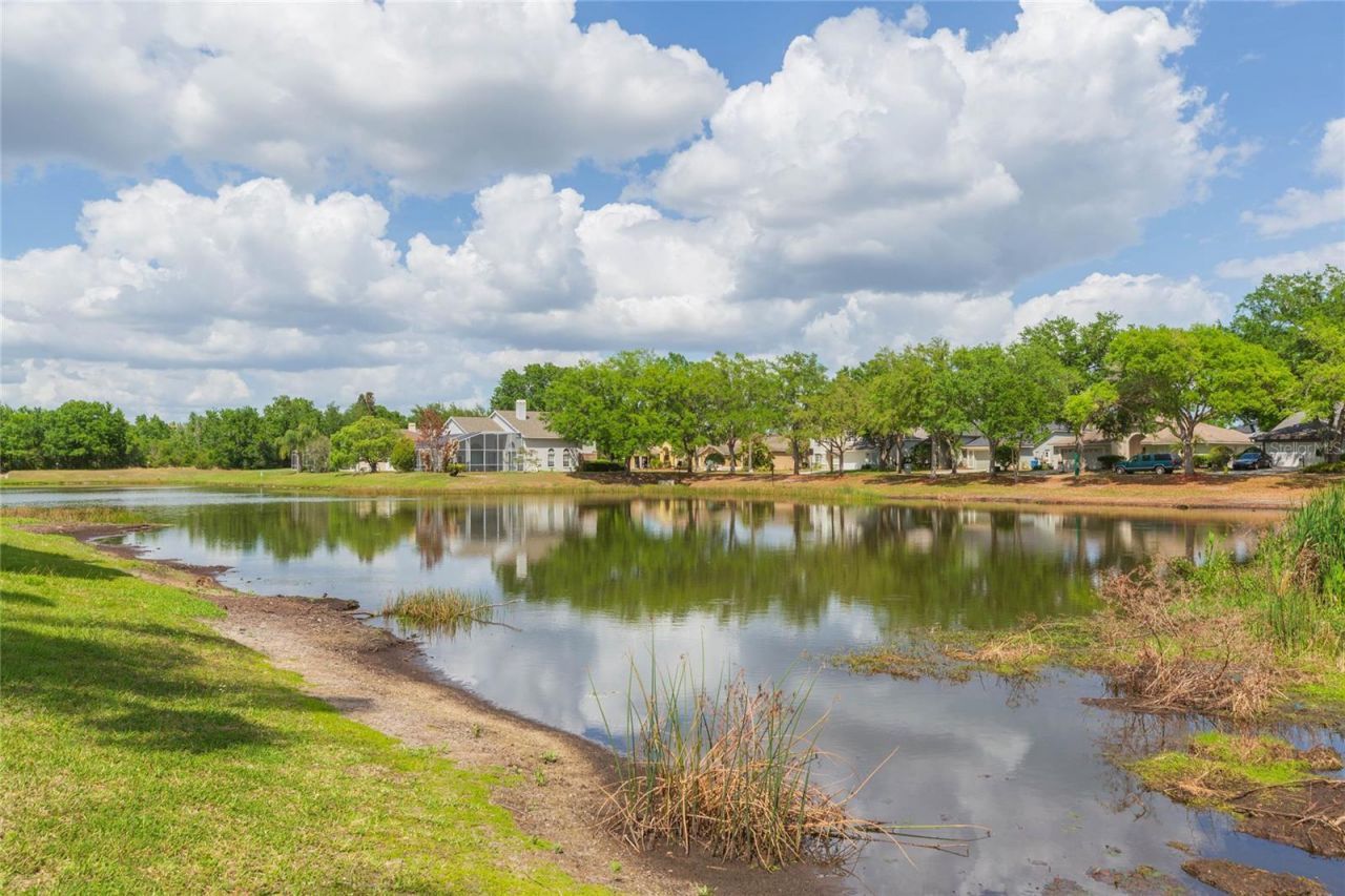 9313 Rockrose Drive, Tampa, FL 33647 Photo