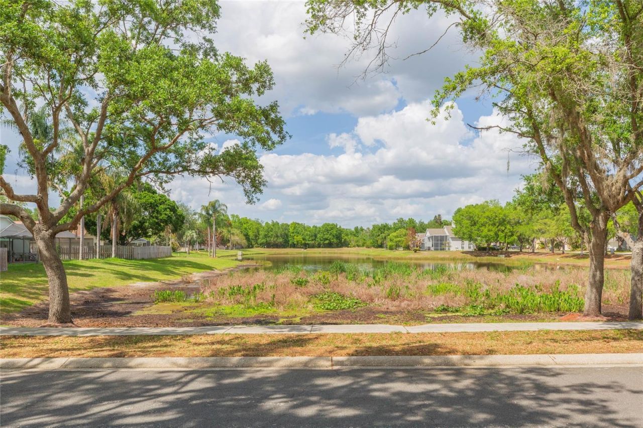 9313 Rockrose Drive, Tampa, FL 33647 Photo