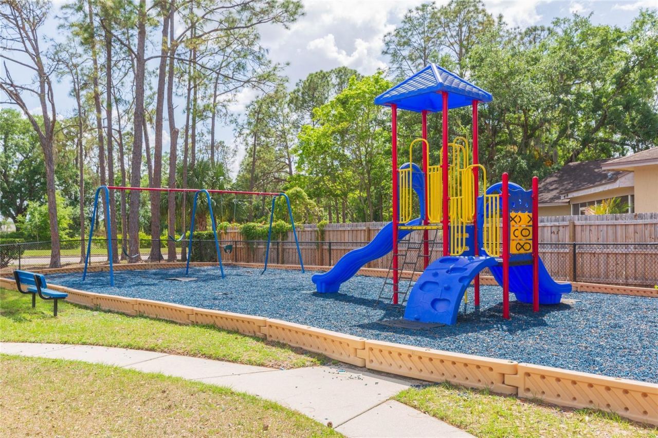 9313 Rockrose Drive, Tampa, FL 33647 Photo