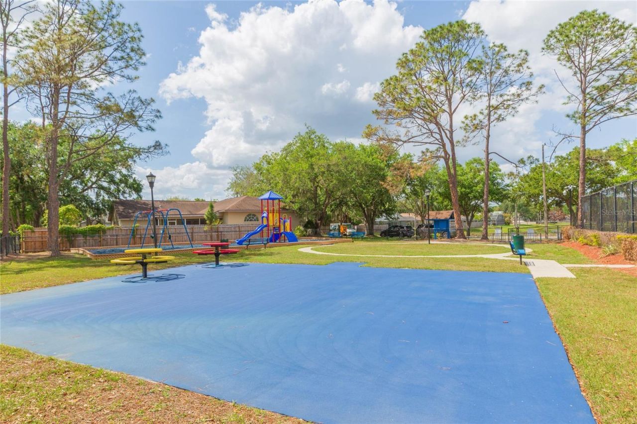 9313 Rockrose Drive, Tampa, FL 33647 Photo