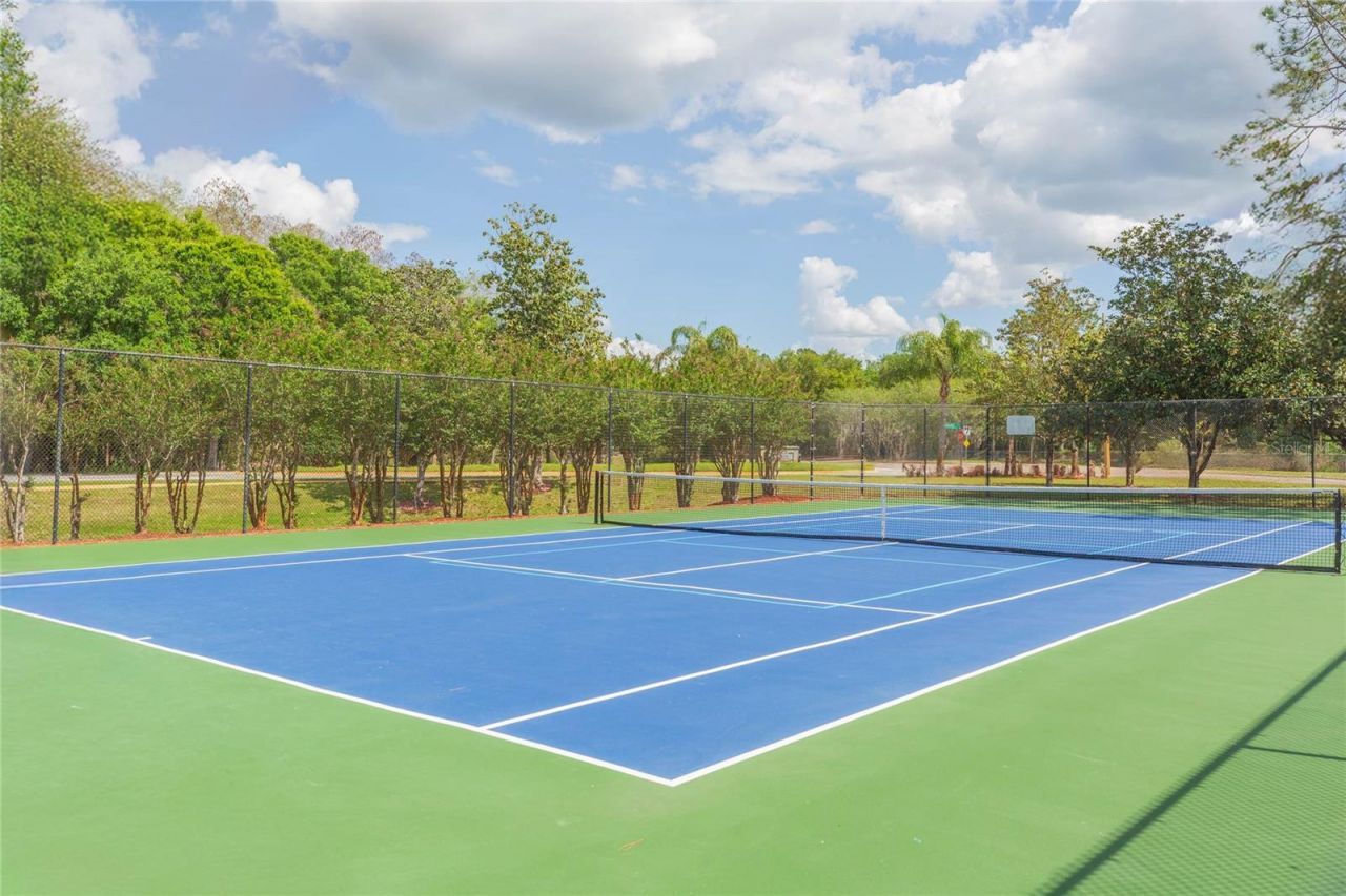 9313 Rockrose Drive, Tampa, FL 33647 Photo