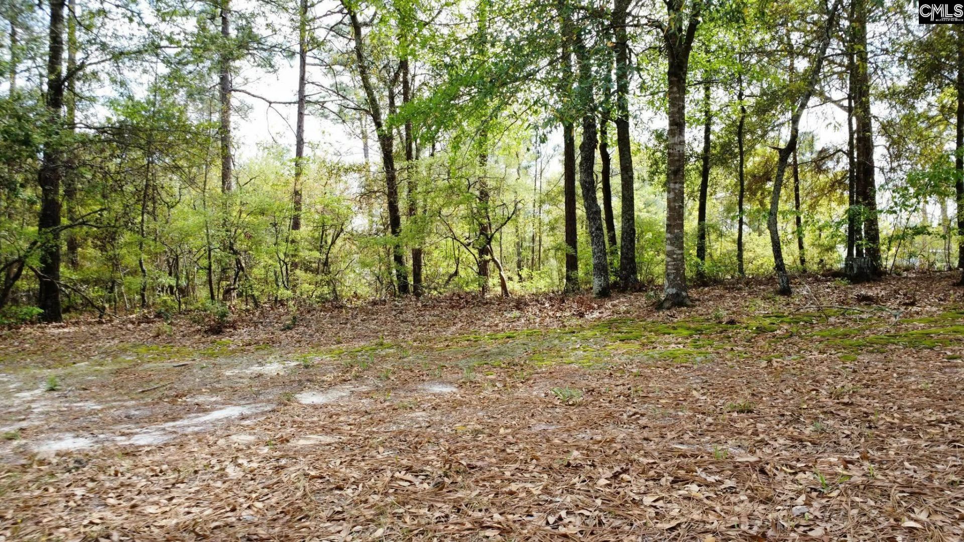 134 Wilma Ann Drive  Photo 11