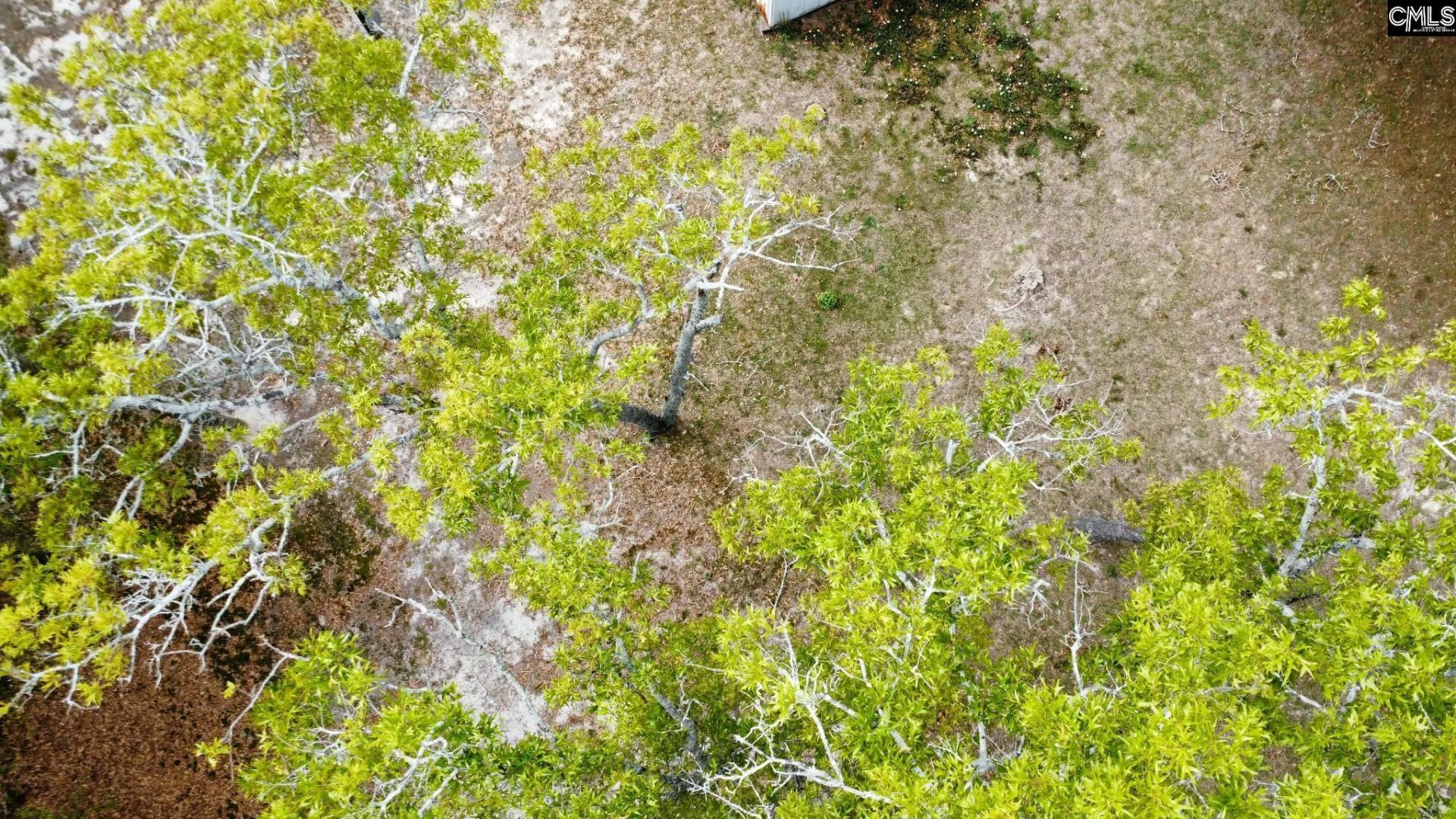 134 Wilma Ann Drive Photo 13