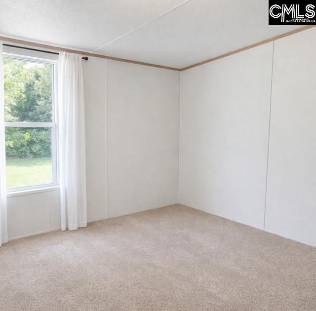 134 Wilma Ann Drive Photo 16