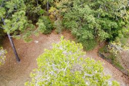 134 Wilma Ann Drive  photo 4