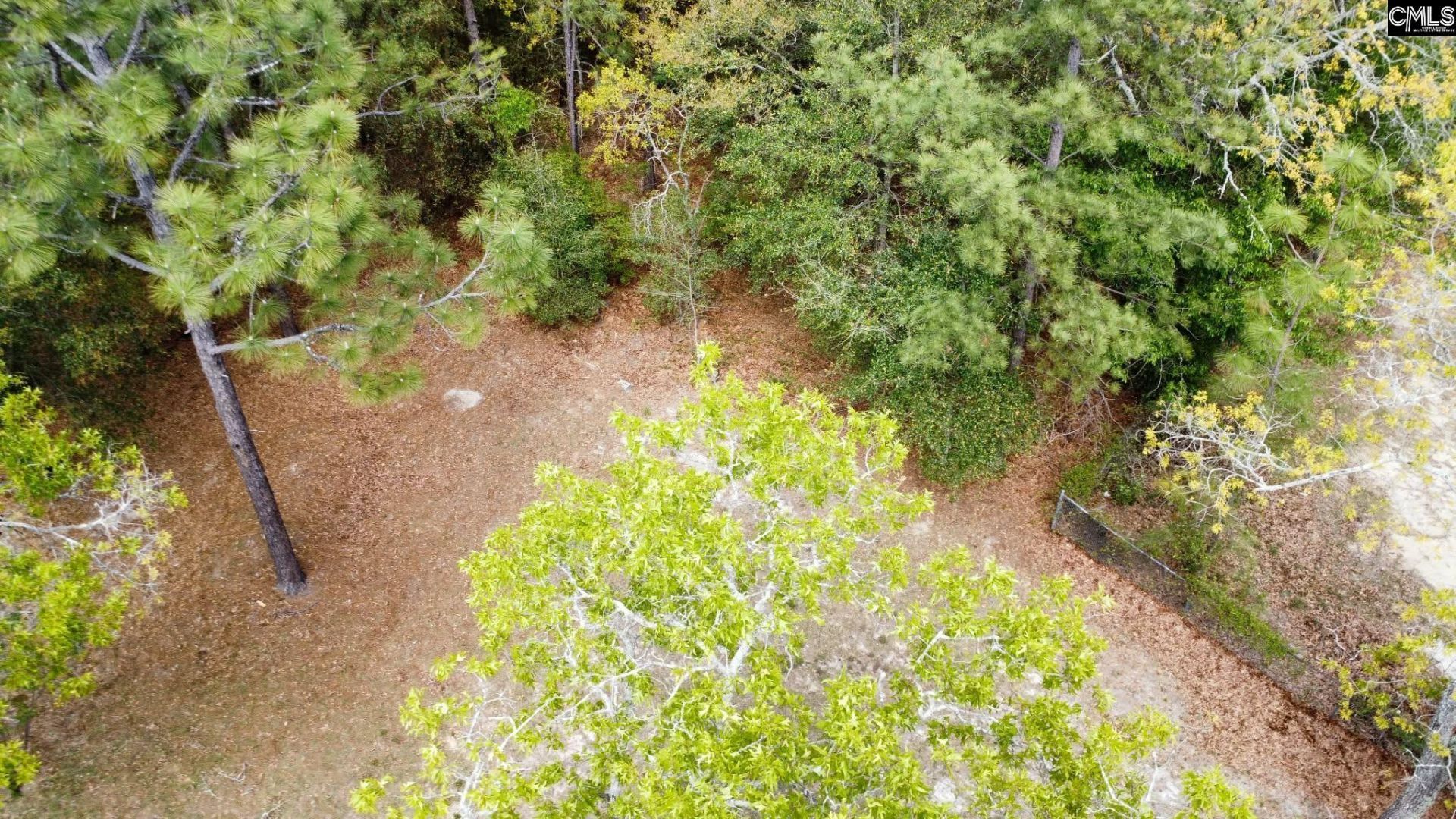 134 Wilma Ann Drive Photo 4