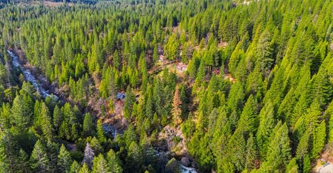 38 Valhalla Ln., Sierra City, CA 96125 Photo